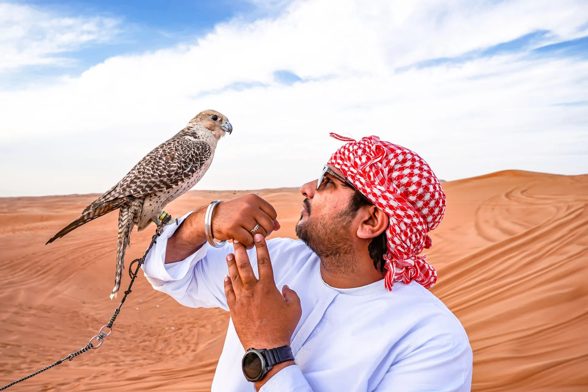 Emirati falconer holding his falcon among red desert dunes